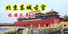 看搞逼视频吧中国北京-东城古宫旅游风景区